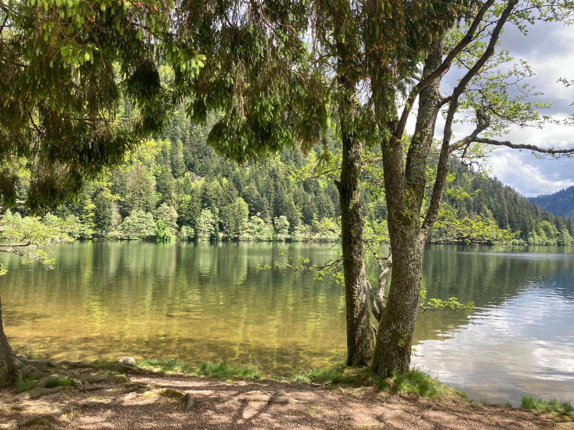 Le Perchoir, Gite 7 Personnes, Le Grand Valtin Ban-sur-Meurthe-Clefcy Kültér fotó